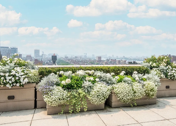 2 Commonwealth Ave #PENTHOUSE 3/4, Boston, MA 02116